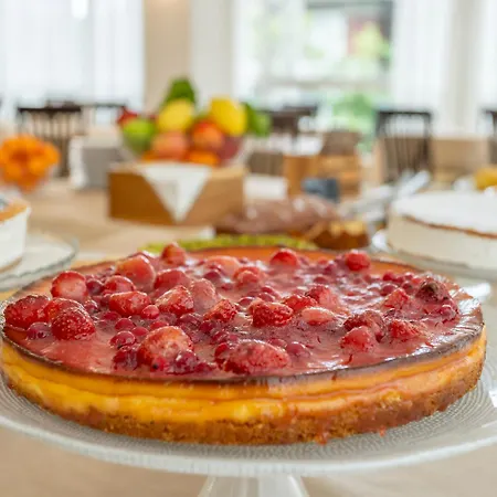 Cormoran Риччоне