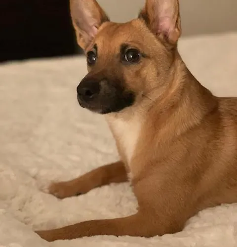 Отель Cormoran 2*